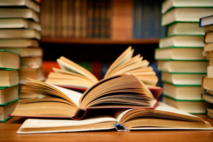 dengan memahami isi dari sebuah novel sang pemimpi