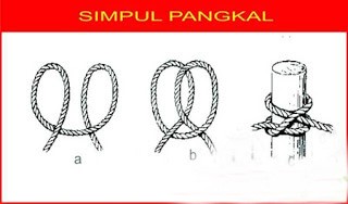 simpul pangkal dalam pramuka