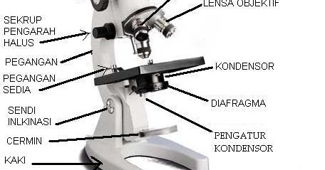 bagian mikroskop sendi iklinasi