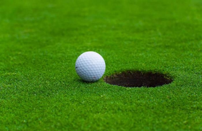 jual rumput golf murah