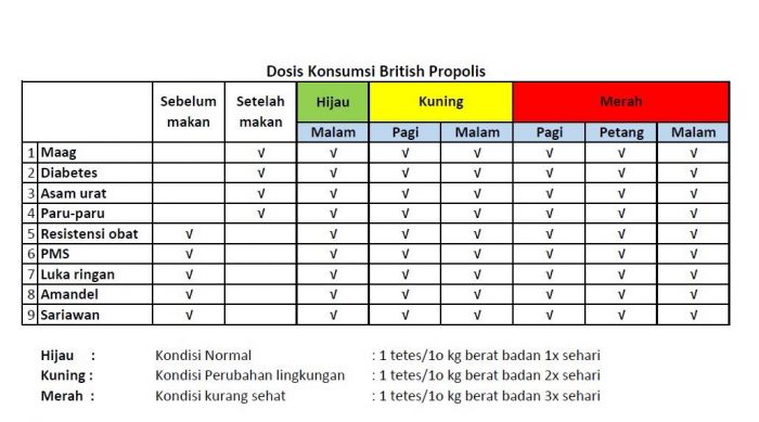 Cara & Aturan Minum British Propolis​