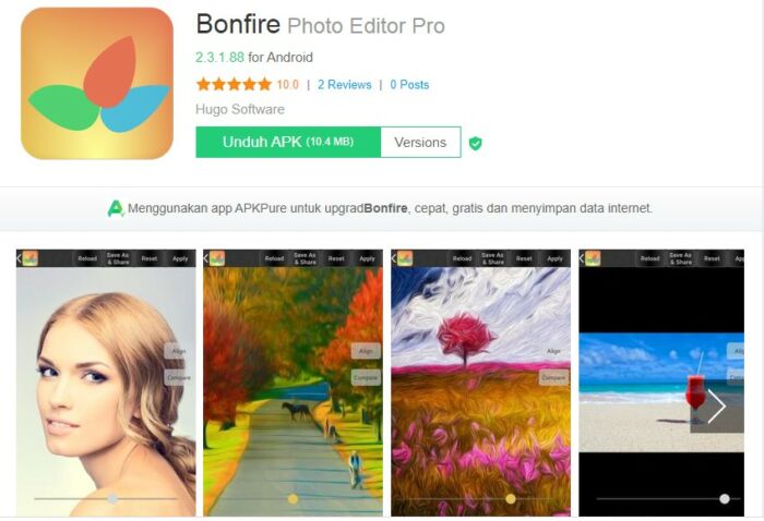 Bonfire Photo Editor Pro