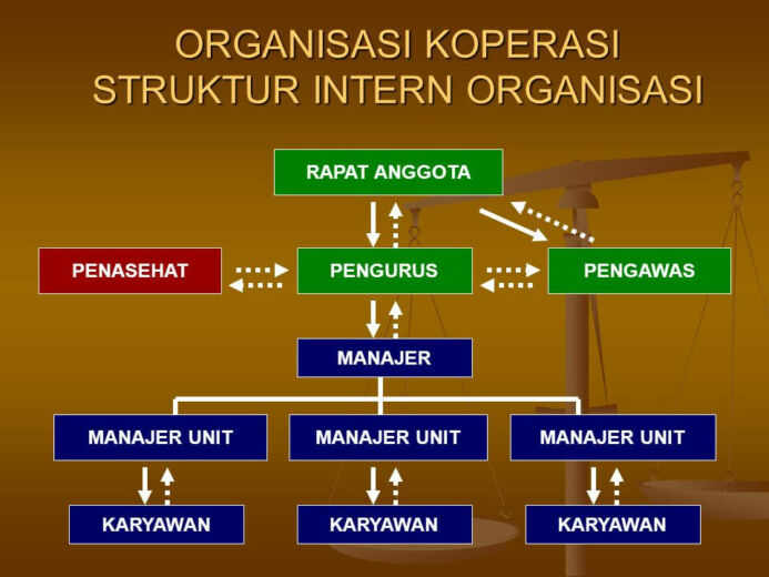 Organisasi Koperasi