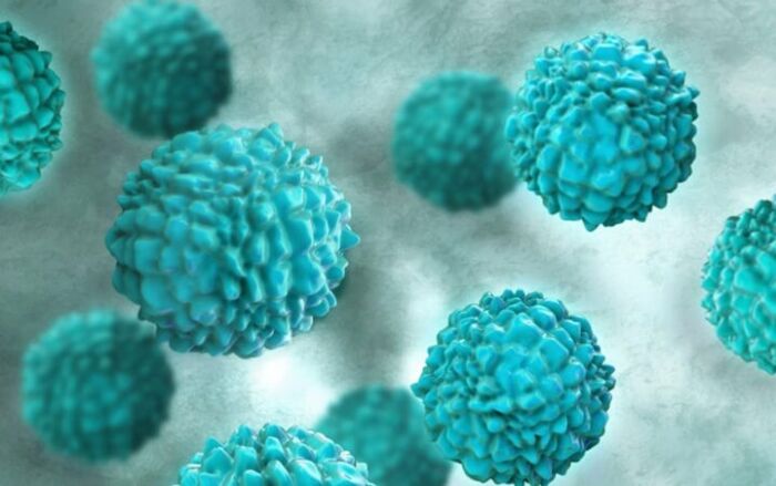 Wabah Norovirus Tengah Melanda China